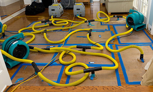 Professional Sewage Cleanup technician working in Lower Salem, OH